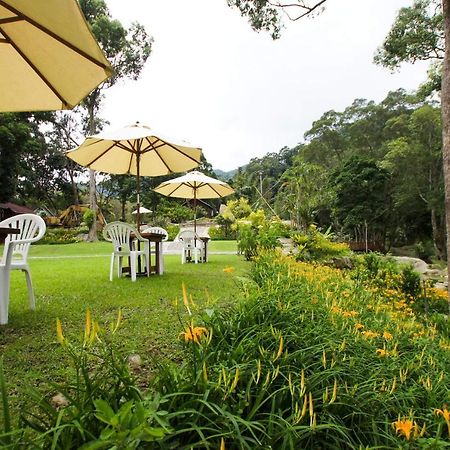 Hemerocallis Country House Nanzhuang Luaran gambar