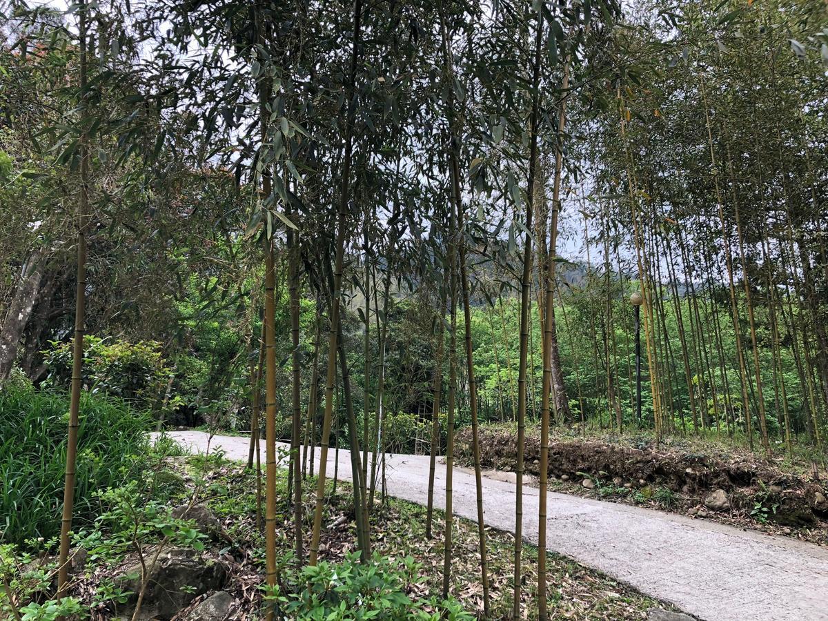 Hemerocallis Country House Nanzhuang Luaran gambar