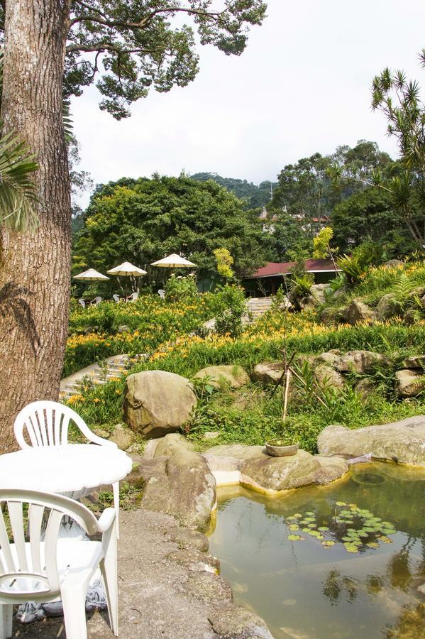 Hemerocallis Country House Nanzhuang Luaran gambar